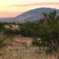 Estudio Casa en venta en Cauquenes, Maule, Cauquenes, Cauquenes