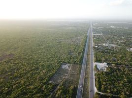  Terreno (Parcela) en venta en Progreso, Yucatán, Progreso