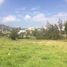  Land for sale in Tumbaco, Pichincha, Tumbaco