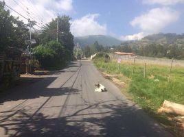  Land for sale in Tumbaco, Pichincha, Tumbaco