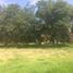  Land for sale in Tumbaco, Pichincha, Tumbaco