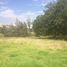  Land for sale in Tumbaco, Pichincha, Tumbaco