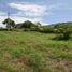  Land for sale in Caldas, Palestina, Caldas