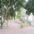  Land for sale in Villa De Alvarez, Colima, Villa De Alvarez, Colima