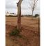  Terrain for sale in Tolu, Sucre, Tolu