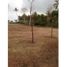  Terrain for sale in Tolu, Sucre, Tolu