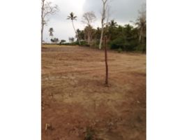  Terrain for sale in Tolu, Sucre, Tolu