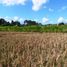  Terrain for sale in Sukawati, Gianyar, Sukawati