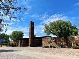  Grundstück zu verkaufen in Allende, Guanajuato, Allende