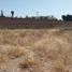  Land for sale in Silao, Guanajuato, Silao
