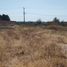  Land for sale in Silao, Guanajuato, Silao