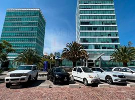 200 SqM Office for rent in Guanajuato, Leon, Guanajuato