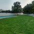  Land for sale in Jamapa, Veracruz, Jamapa
