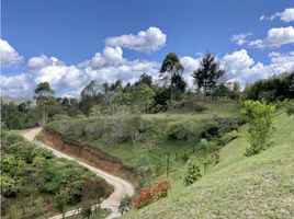  Terreno (Parcela) en venta en La Ceja, Antioquia, La Ceja