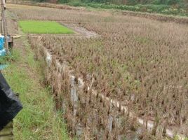  Tanah for sale in Darangdan, Purwakarta, Darangdan