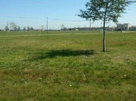  Land for sale in San Vicente, Buenos Aires, San Vicente