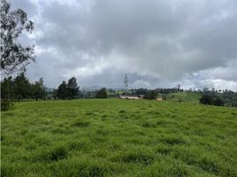  Land for sale in San Pedro De Los Milagros, Antioquia, San Pedro De Los Milagros