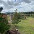  Land for sale in Gran Morelos, Chihuahua, Gran Morelos