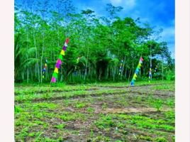  Tanah for sale in Ngajum, Malang Regency, Ngajum