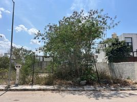  Grundstück zu verkaufen in Conkal, Yucatan, Conkal