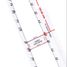  Land for rent in San Luis Potosi, San Luis Potosi, San Luis Potosi, San Luis Potosi
