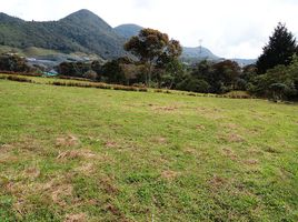  Grundstück zu verkaufen in San Carlos, Antioquia, San Carlos