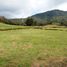  Terrain for sale in San Carlos, Antioquia, San Carlos