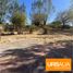  Land for sale in Los Angeles, Biobío, Los Angeles, Biobío, Biobío
