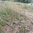  Land for sale in Garzon, Huila, Garzon