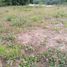  Land for sale in Garzon, Huila, Garzon