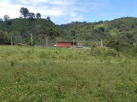  Land for sale in Garzon, Huila, Garzon