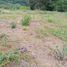  Land for sale in Garzon, Huila, Garzon