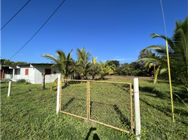  Terreno (Parcela) en venta en Cañas, Tonosí, Cañas