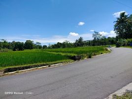  Land for sale in Yogyakarta, Pakem, Sleman, Yogyakarta