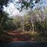  Land for sale in Ticul, Yucatan, Ticul