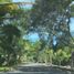  Land for sale in Compostela, Nayarit, Compostela
