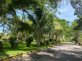  Land for sale in Compostela, Nayarit, Compostela