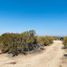  Grundstück zu verkaufen in Tecate, Baja California, Tecate