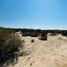  Grundstück zu verkaufen in Tecate, Baja California, Tecate