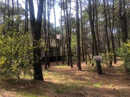  Land for sale in Villa Gesell, Buenos Aires, Villa Gesell