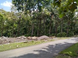  Land for sale in Yogyakarta, Pengasih, Kulon Progo, Yogyakarta