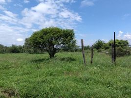  Land for sale in Santa Maria, Cordoba, Santa Maria