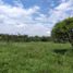  Land for sale in Santa Maria, Cordoba, Santa Maria