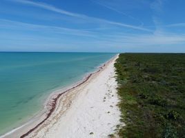  Land for sale in Celestun, Yucatan, Celestun