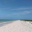  Land for sale in Celestun, Yucatan, Celestun