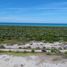  Land for sale in Celestun, Yucatan, Celestun
