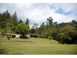 3 Schlafzimmer Haus zu verkaufen in Rionegro, Antioquia, Rionegro