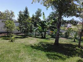 在Coatepec, Veracruz出售的4 卧室 屋, Coatepec