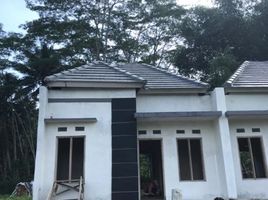 2 Bedroom House for sale in Bantul, Yogyakarta, Pajangan, Bantul