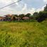  Land for sale in Ciampea, Bogor, Ciampea